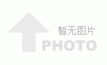 ‌未来展望‌